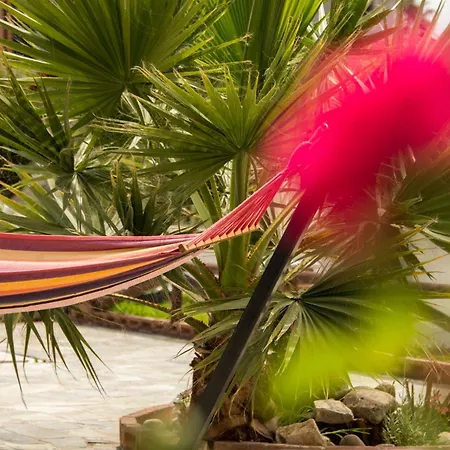 Ξενοδοχείο με διαμερίσματα Kolevri - 650m From Center, By Zantewize